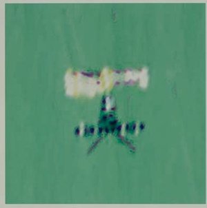 ERS-1 imaged by Spot-4