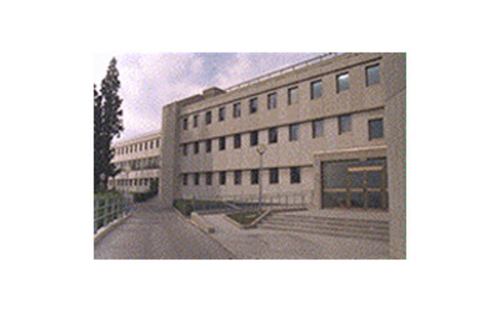 Scuola Internazionale Superiore di Studi Avanzati