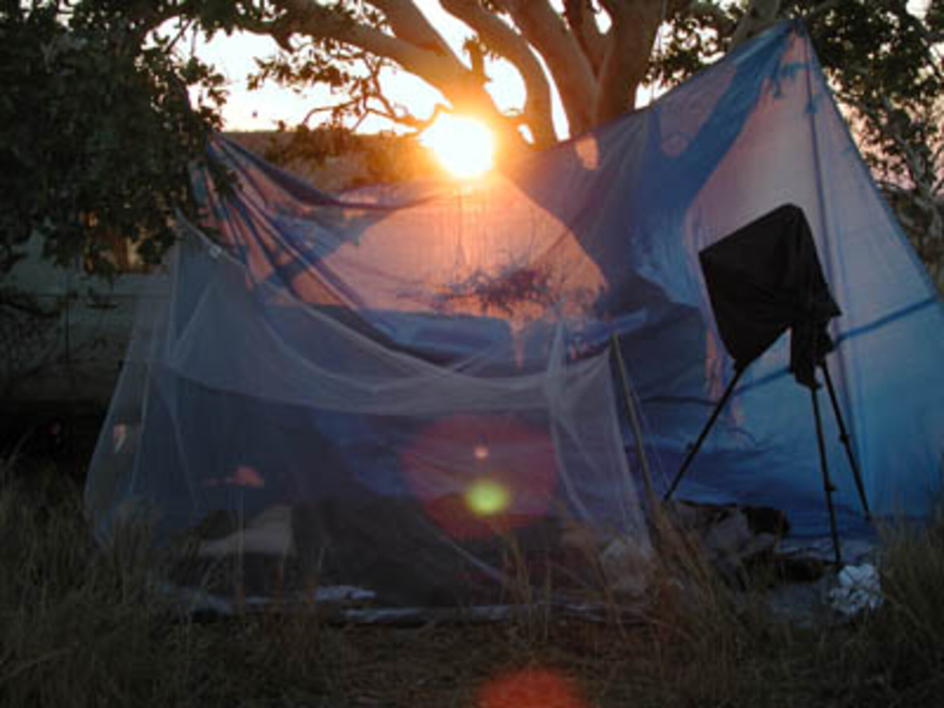 Leonid 2001 observing campaign site in Australia