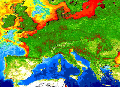 Representación del llamado plancton que puede ser un indicativo para la polución o la modificación del clima