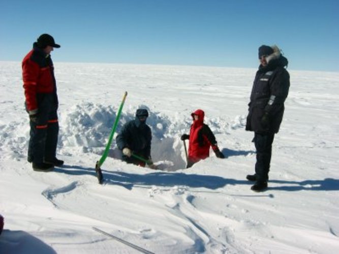 In-situ samples of this year's snowfall on the Greenland icecap