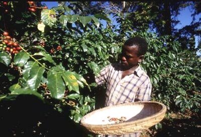 AMESD intende dare ai paesi africani i mezzi per sviluppare un verio e proprio metodo di controllo del territorio