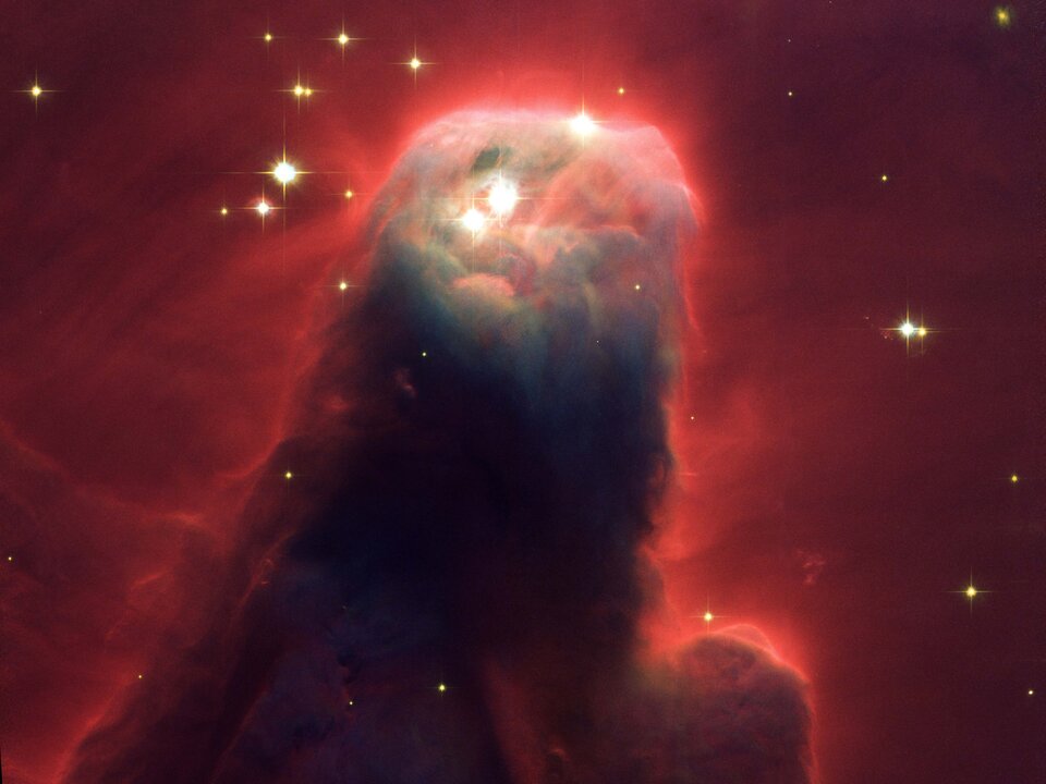 De 'Cone Nebula'