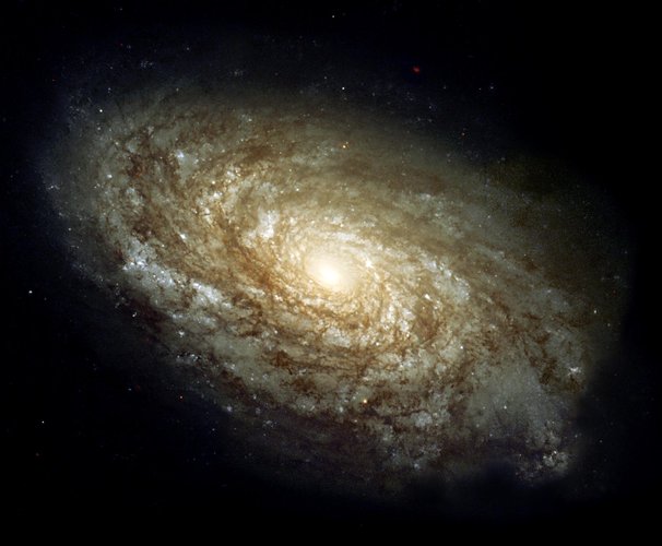 Spiral Galaxy, with older more coloured stars in the central region