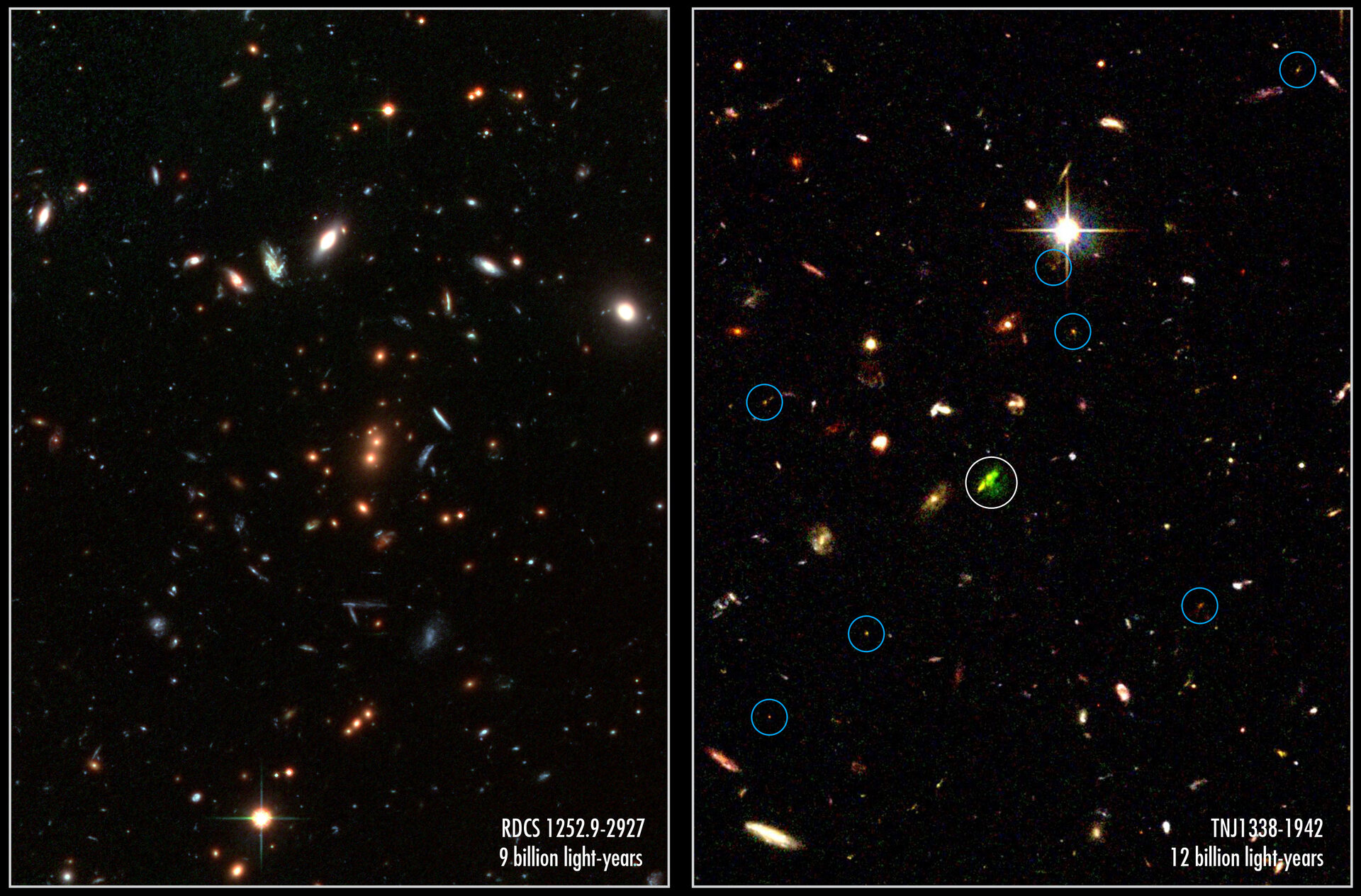 A tale of two record-breaking clusters
