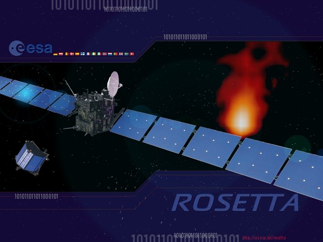 Rosetta wallpaper
