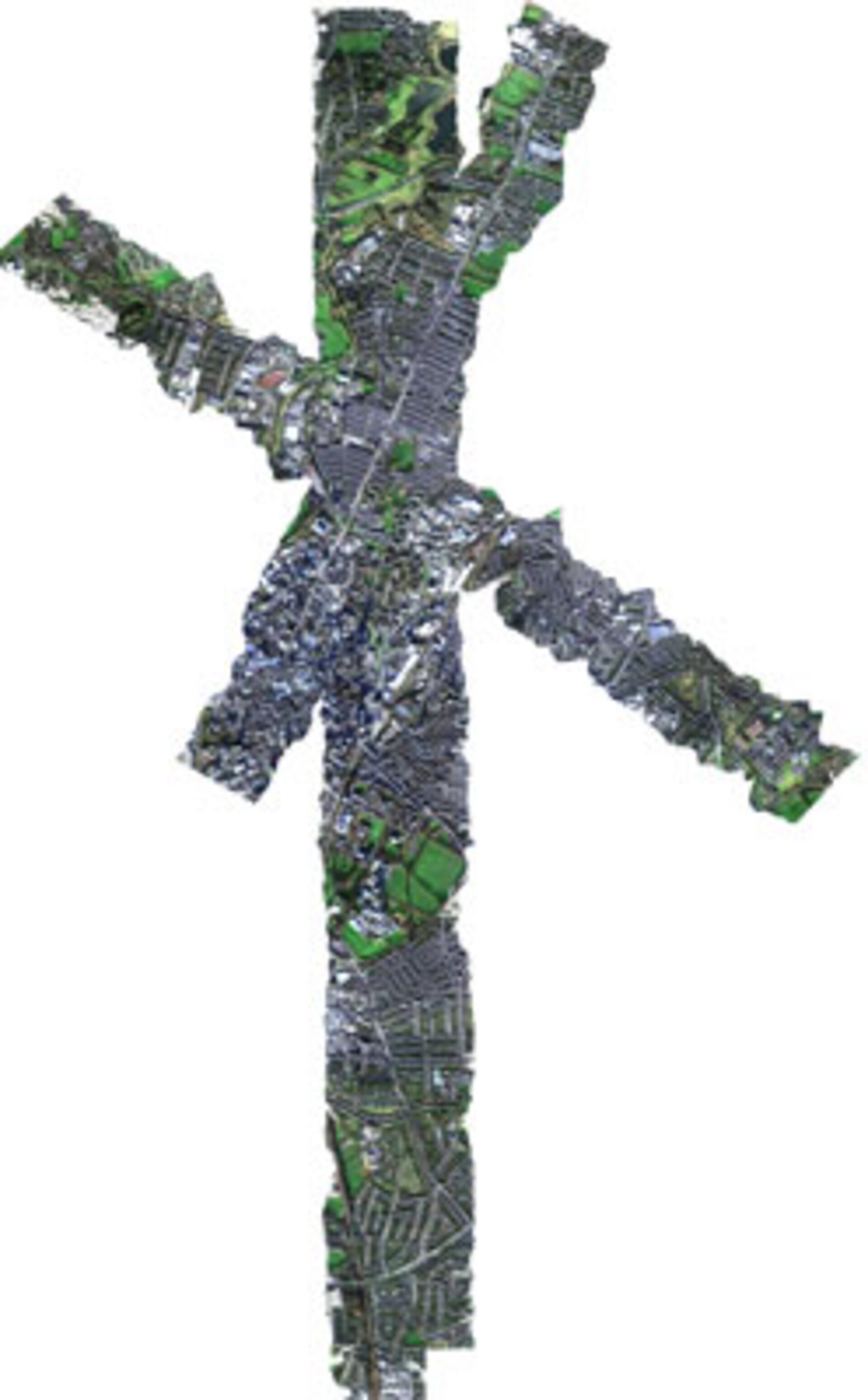 Oululainen Specim kehittää ja valmistaa mm