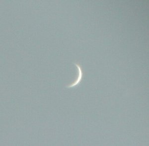 Venus is tot eind mei nog waarneembaar als een heldere ‘ster’ aan de westelijke avondhemel