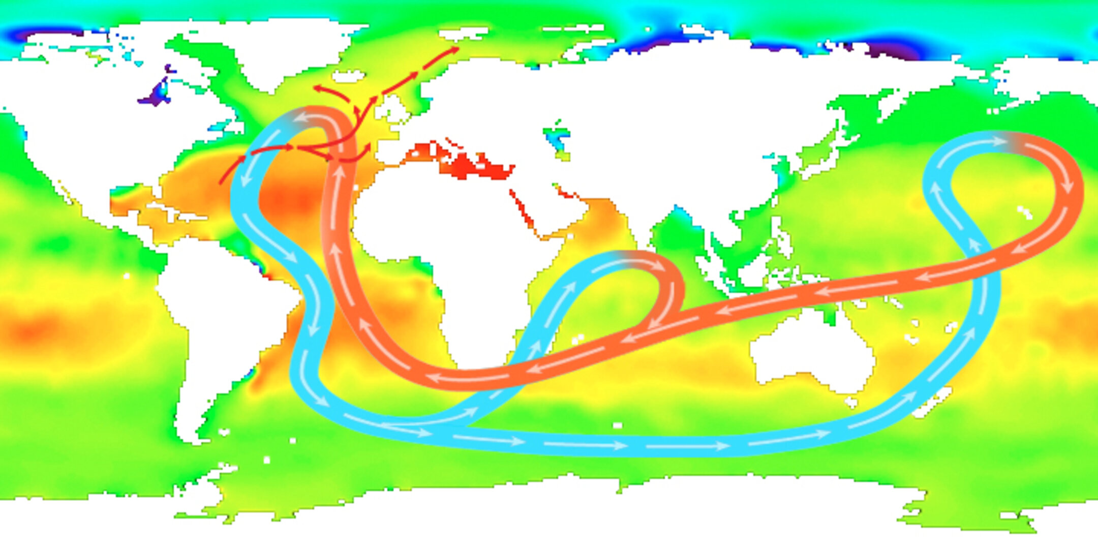 Sea-surface salinity and ocean circulation