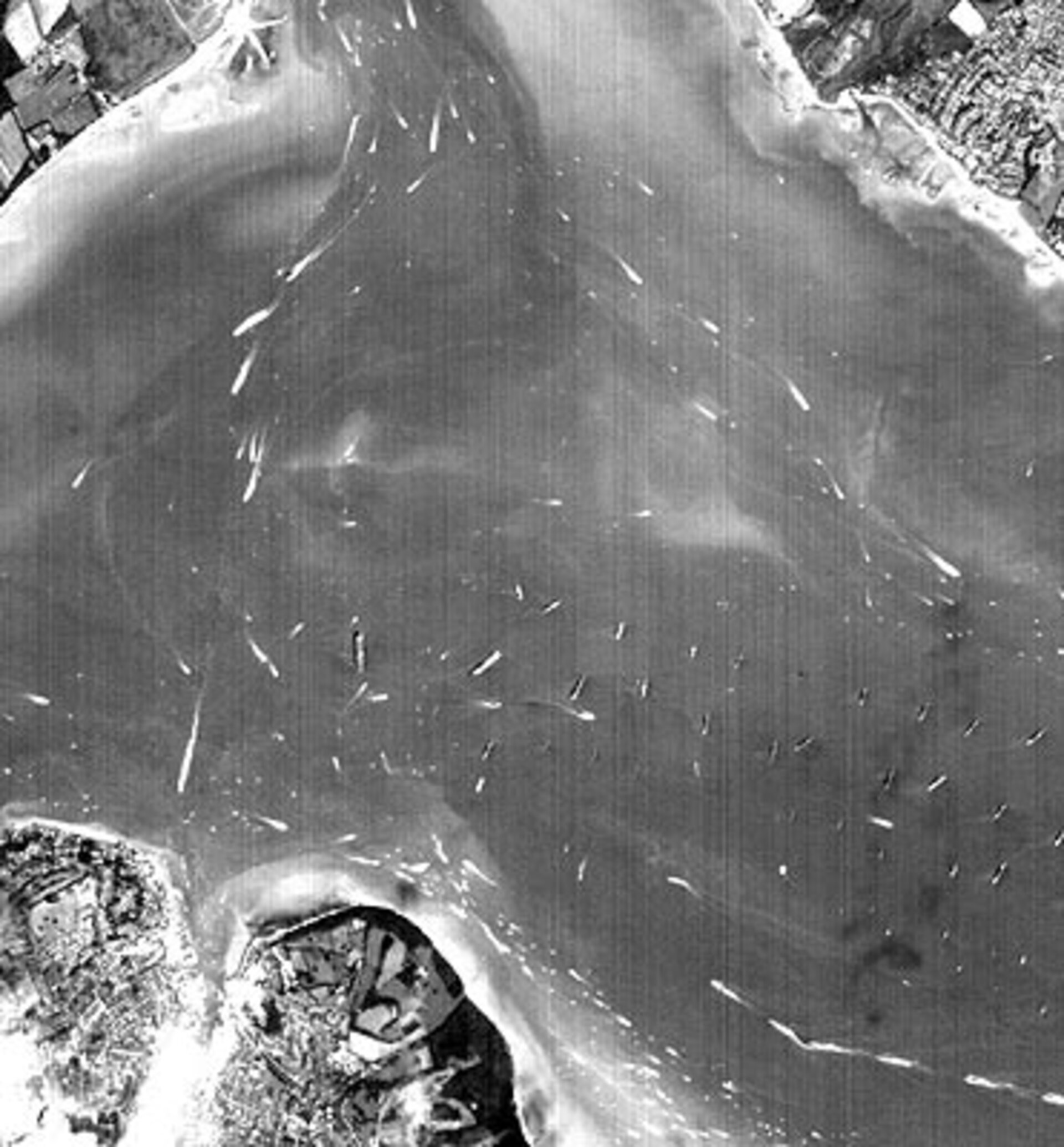 28 June - International Fleet Review