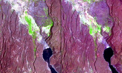 Loss of inland marshes in Lake Bogoria