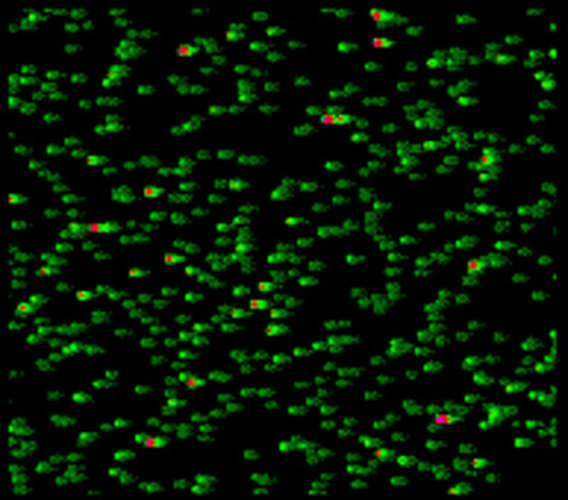 COROT exoplanet field