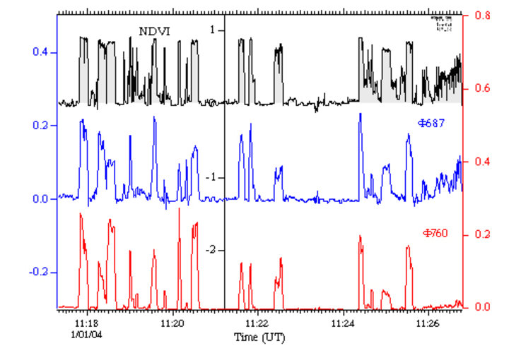 Spatial variation of NDVI (Normalised Difference Vegetation Index) and fluorescence yields