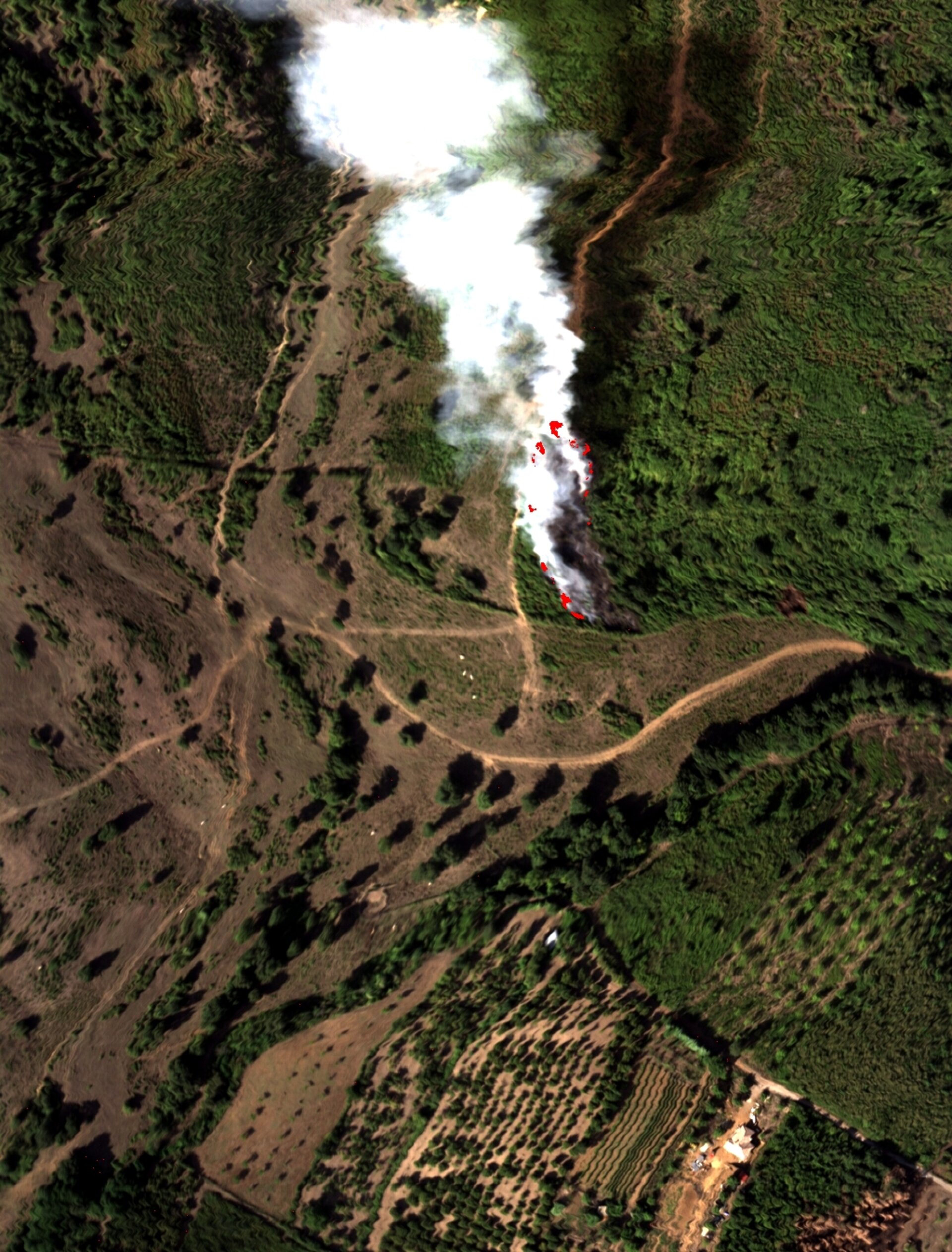 Superimposed hyperspectral data