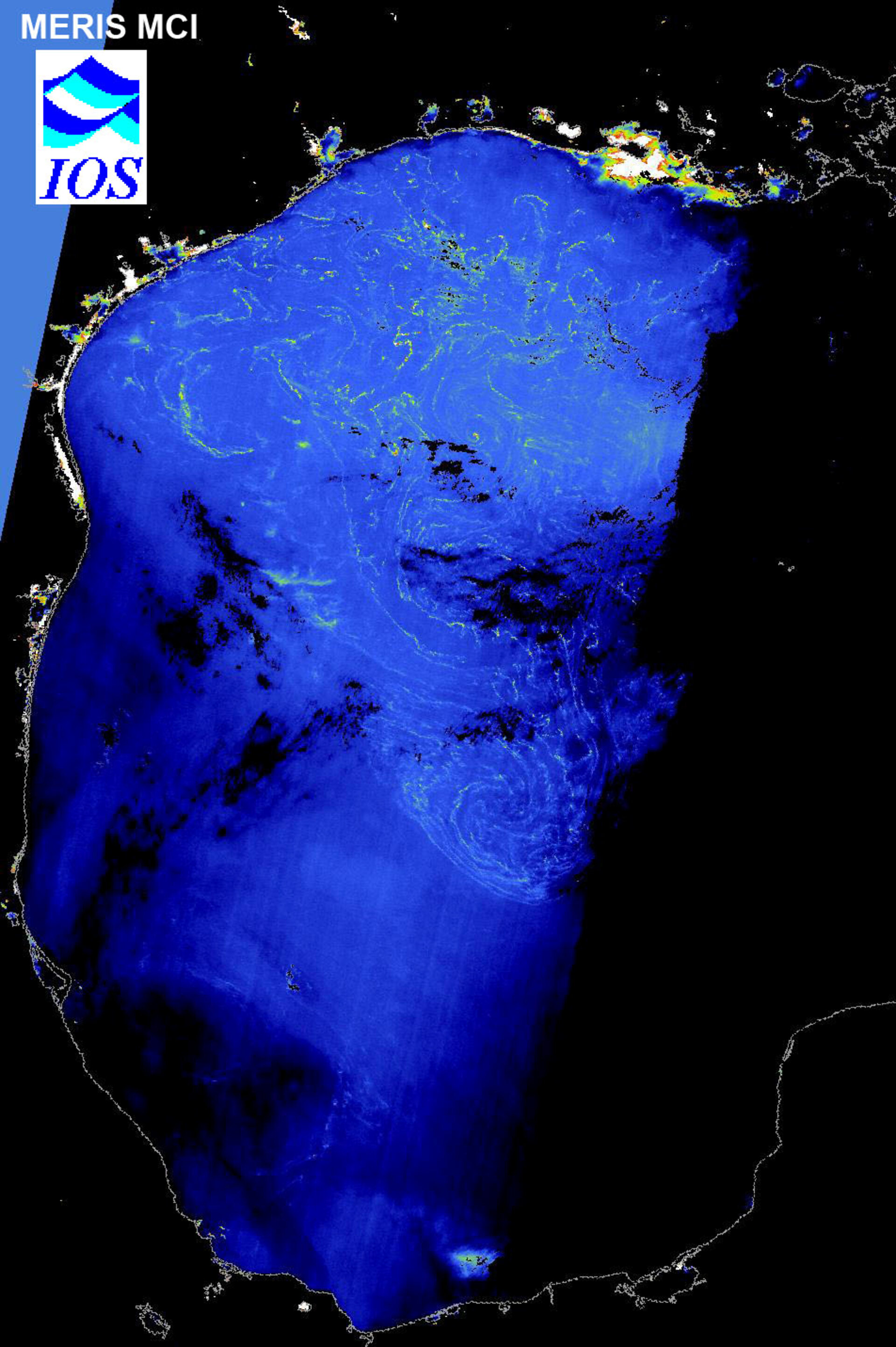 Sargassum as seen by MERIS