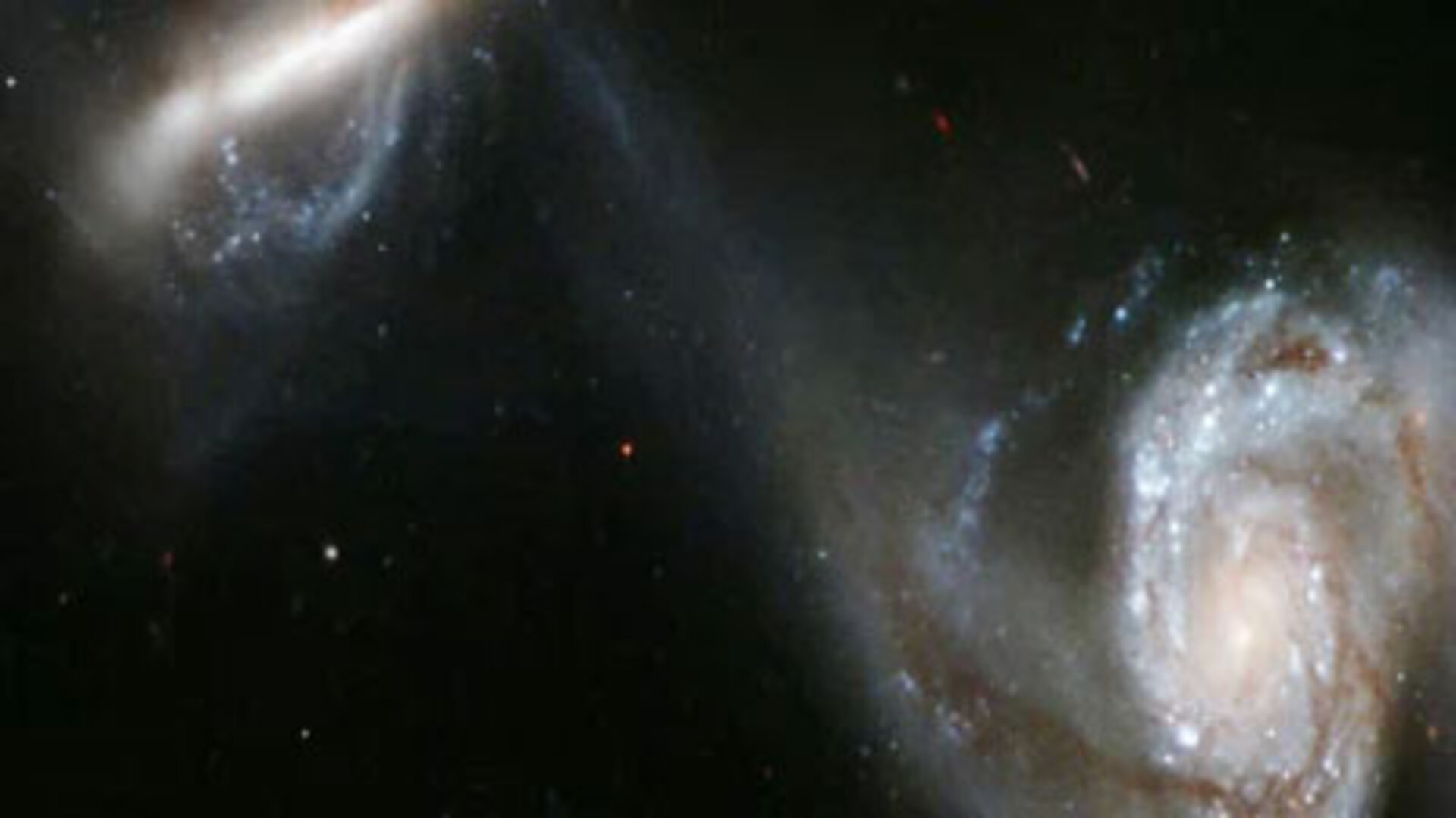 Panning on the interacting galaxies Arp 87.