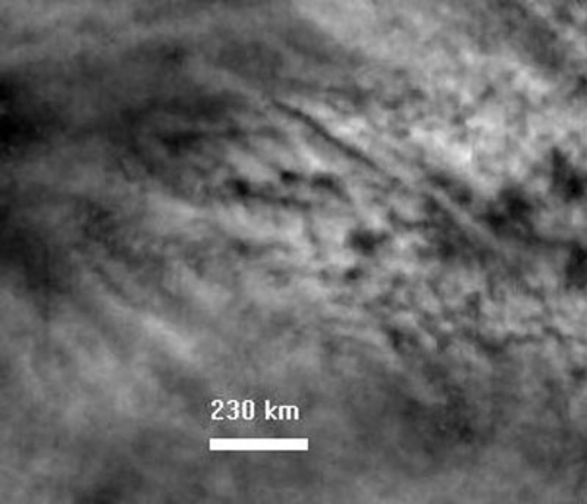 Convection cells in the Venusian atmosphere