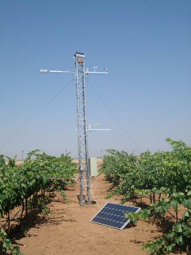 Phytoplankton bloom seen by Envisat