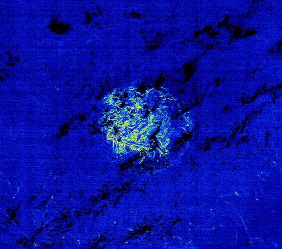 Envisat image of a patch of Sargassum