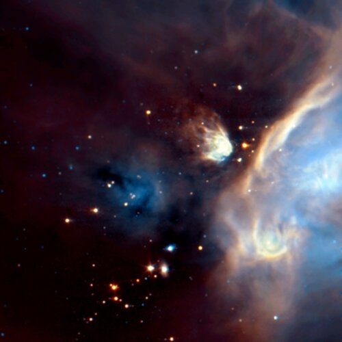 Newborn stars