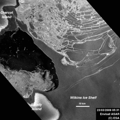 Animationen viser, at is-broen til Wilkins Ice Shelf bliver stadig mindre.