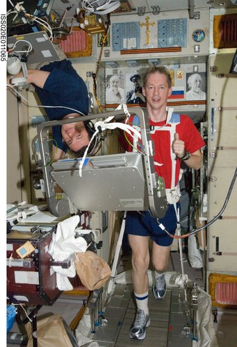 Frank De Winne exercises on the treadmill in the Zvezda module