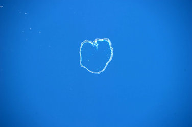 Ebon Atoll, Marshall Islands