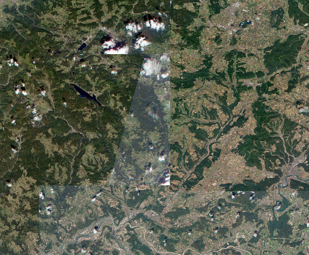 Germany's Black Forest