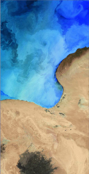 Envisat image of SST