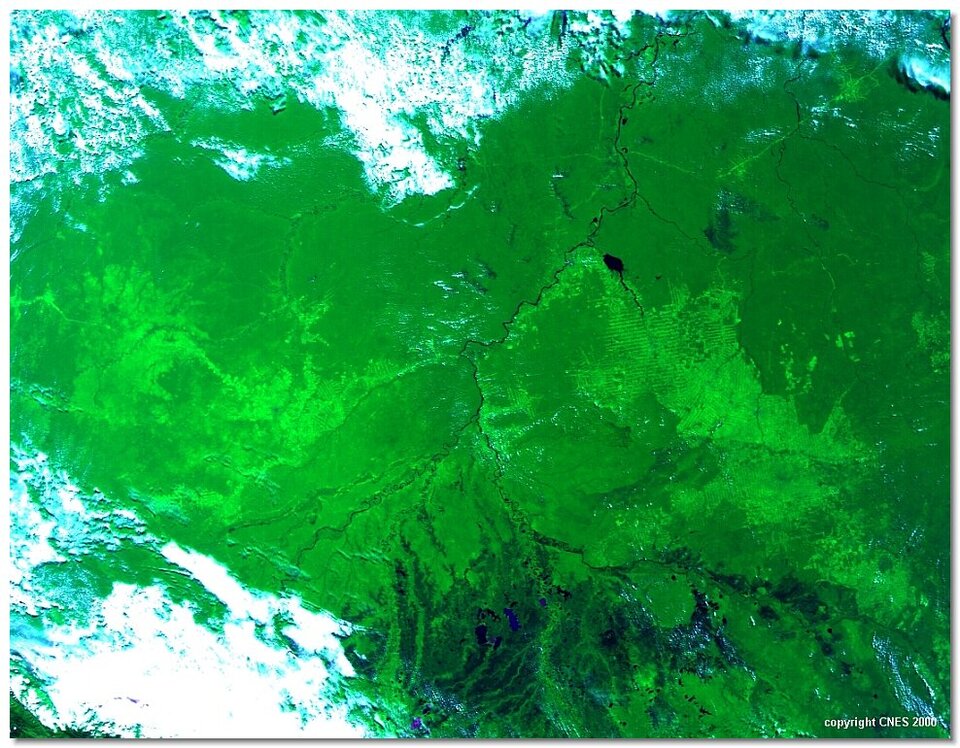 Vanuit de ruimte is de ontbossing in Brazilië goed waar te nemen