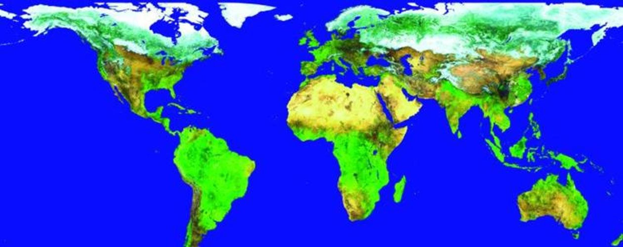 10-day Vegetation product