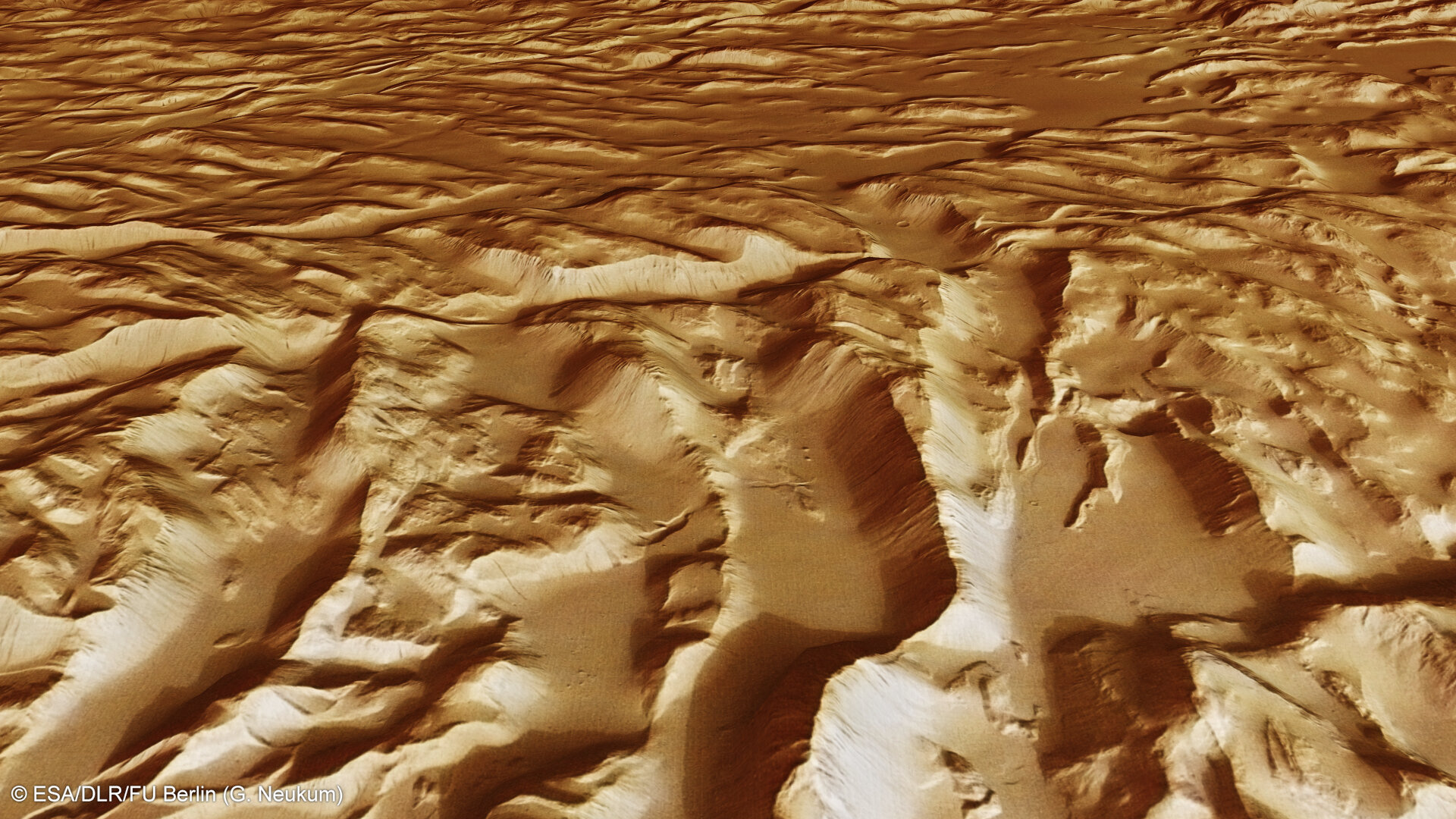 Sulci Gordii close-up