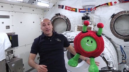 Paxi on the ISS