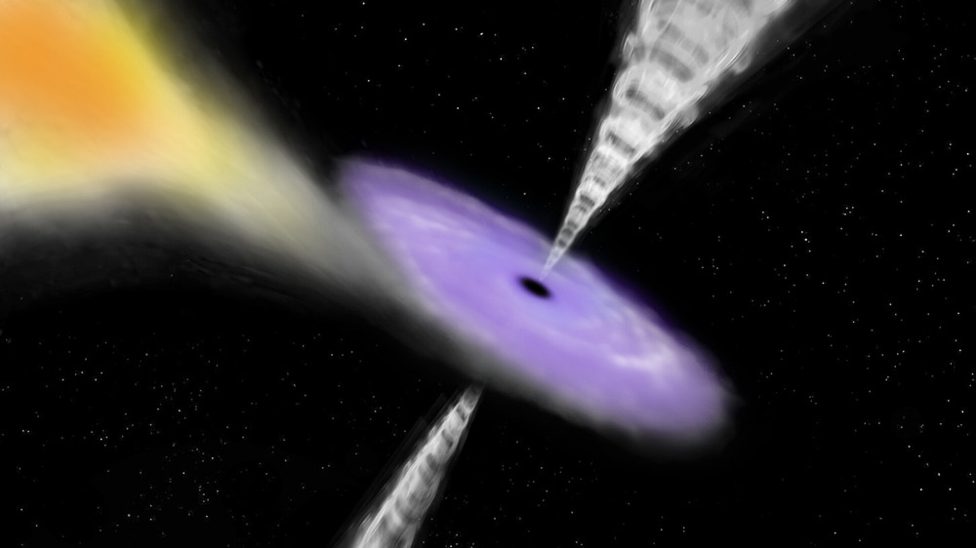 Black hole with disc and jets 
