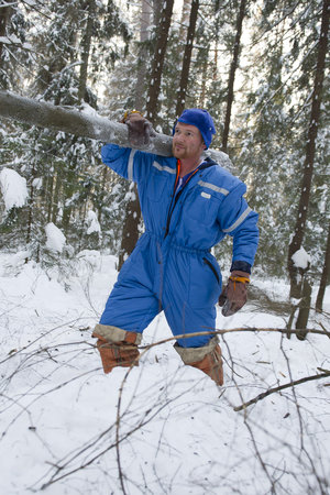 Alexander collecting wood