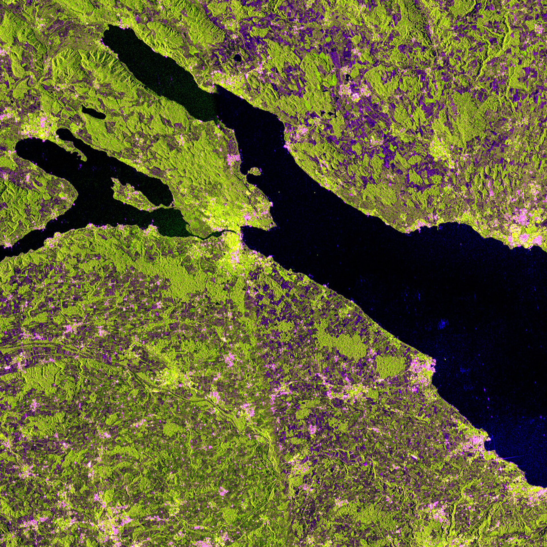 Radarbild von Sentinel-1A des Bodensees