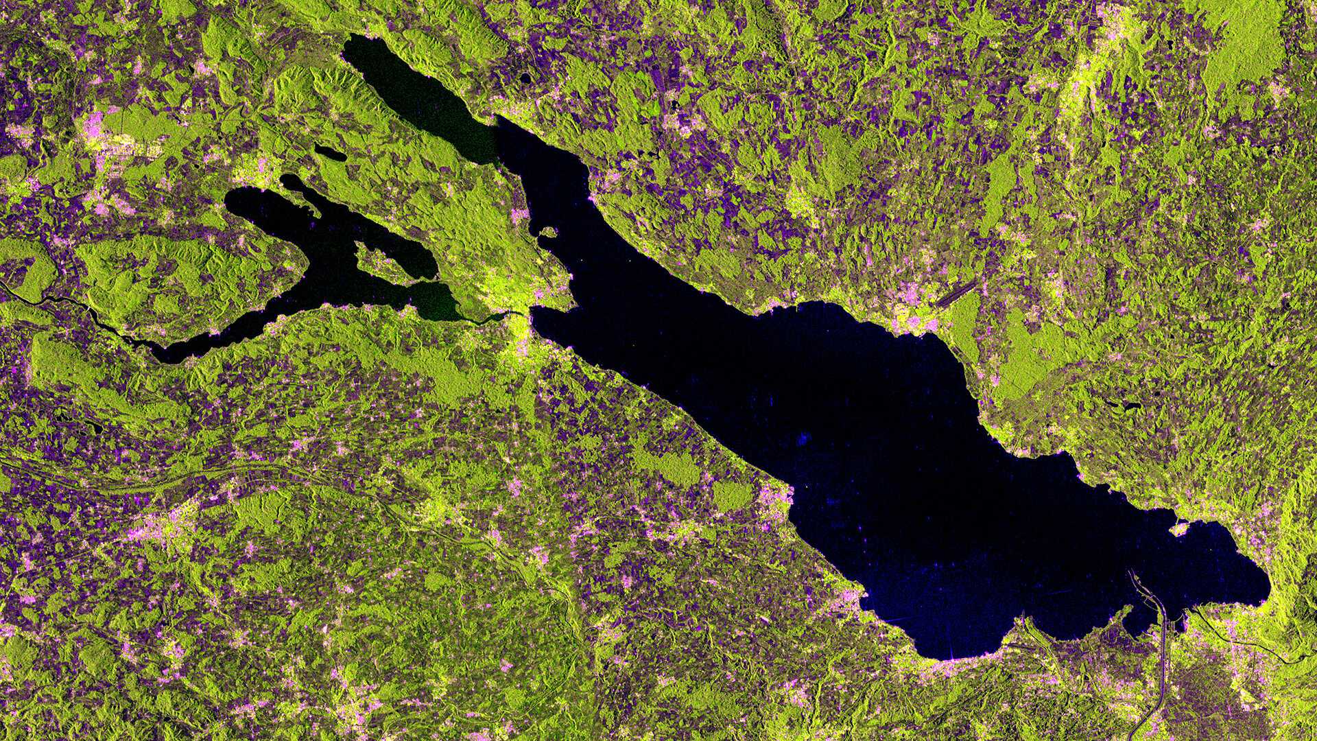 Radarbild von Sentinel-1A des Bodensees