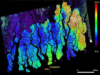 Height of Bangladesh mangrove