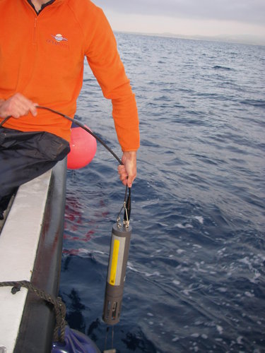 Taking salinity and temperature measurements