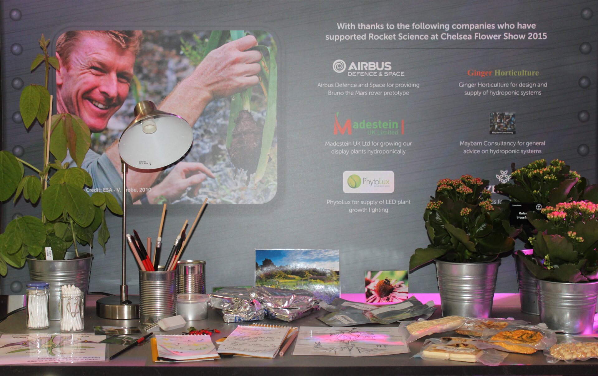 Tim Peake supports Rocket Science