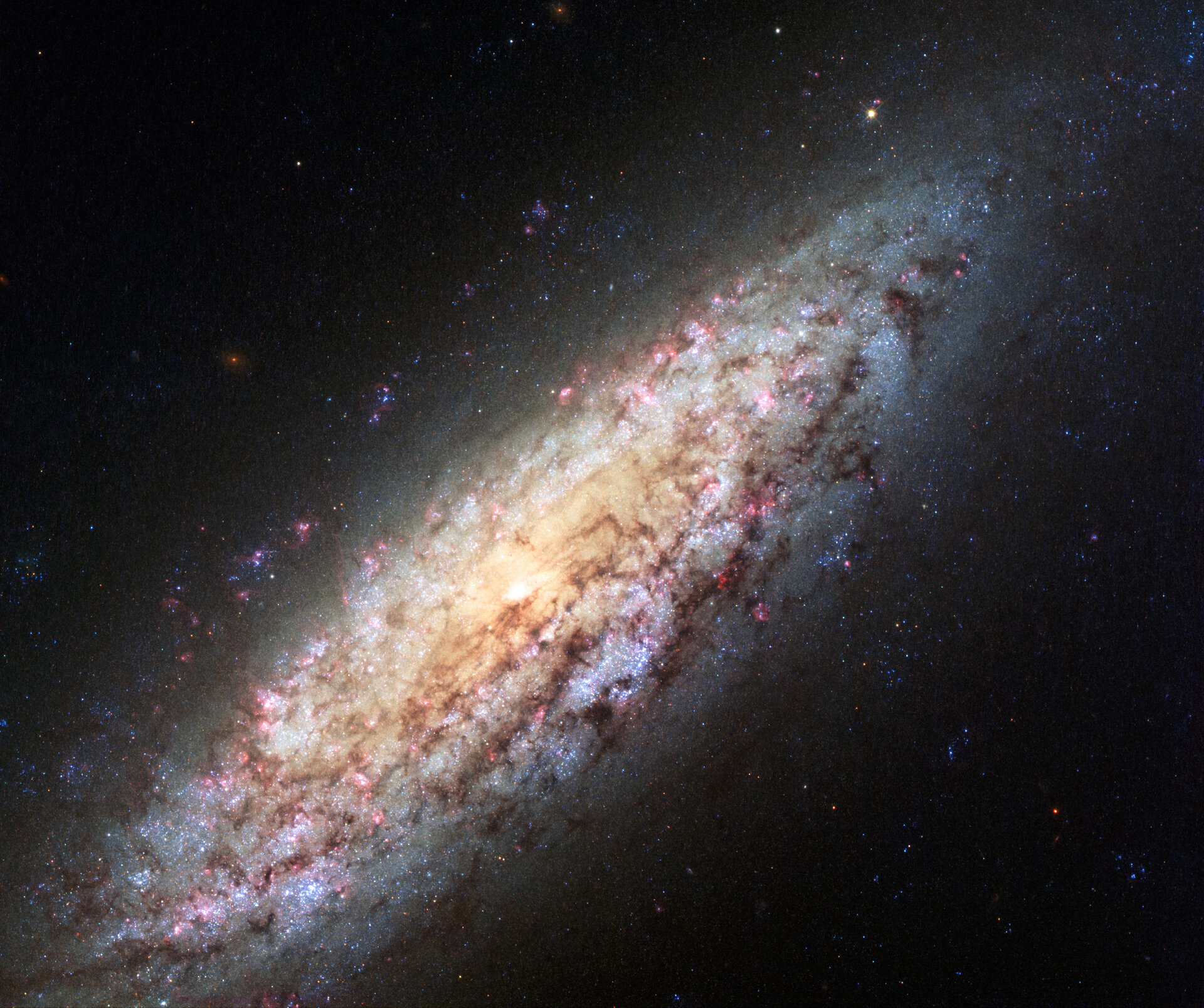Galaxy NGC 6503
