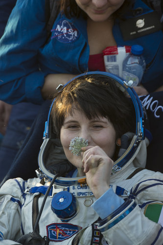 Samantha back on Earth