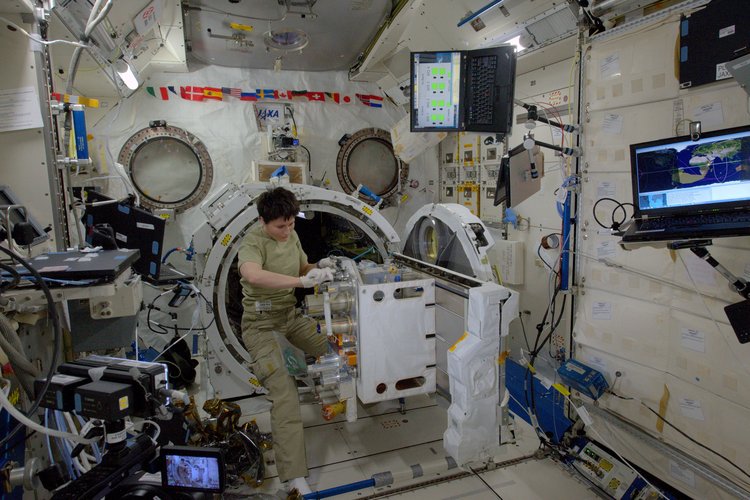 Samantha working in Kibo