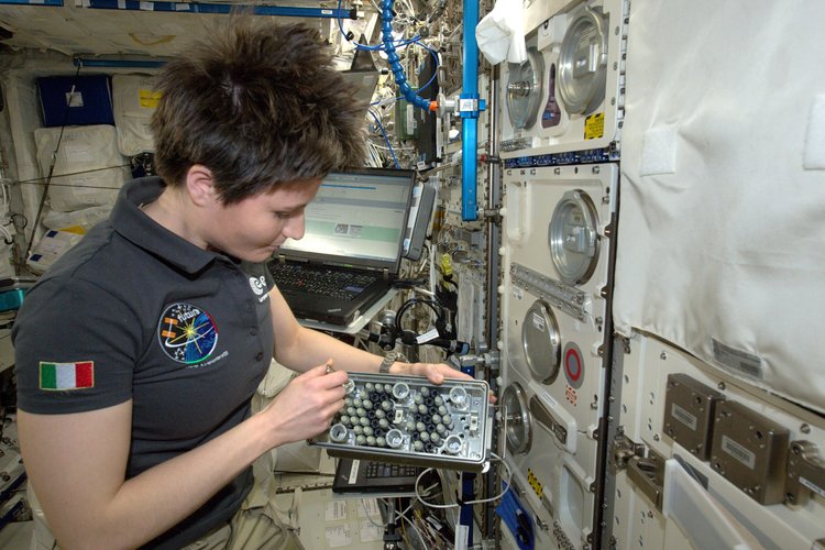 Samantha working on TripeLux