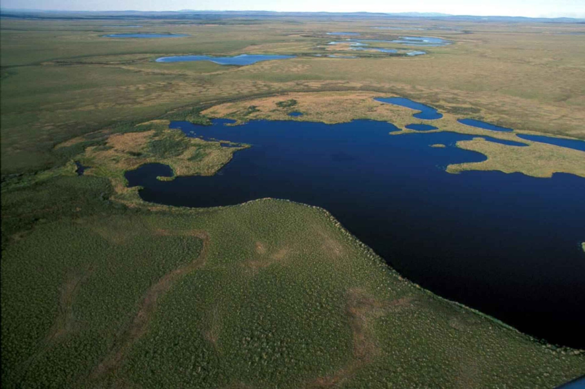 Aerial view of National Park Wetlands