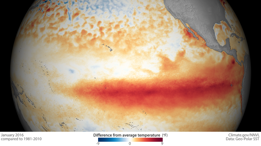 El Niño: January 2016
