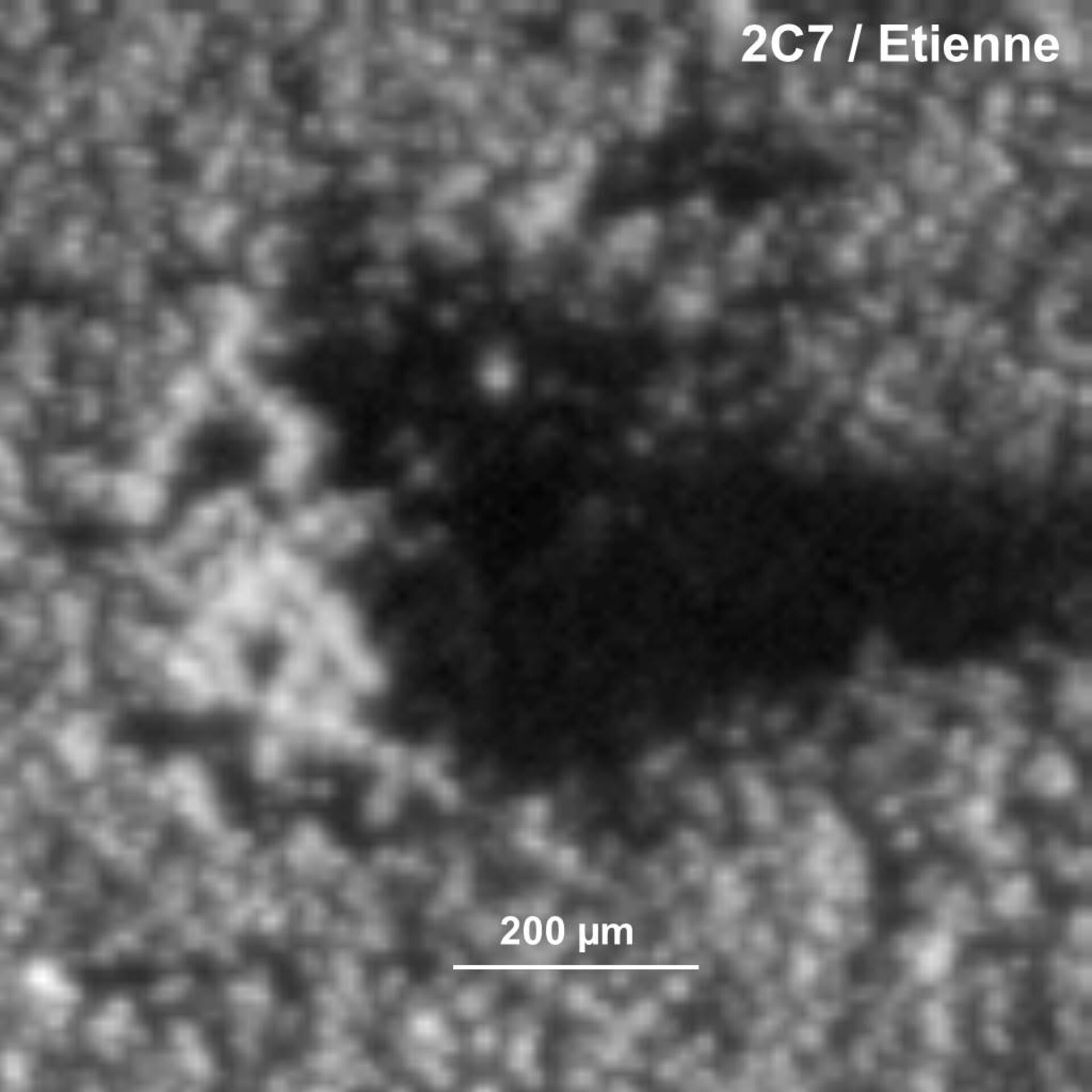 Comet dust – Etienne