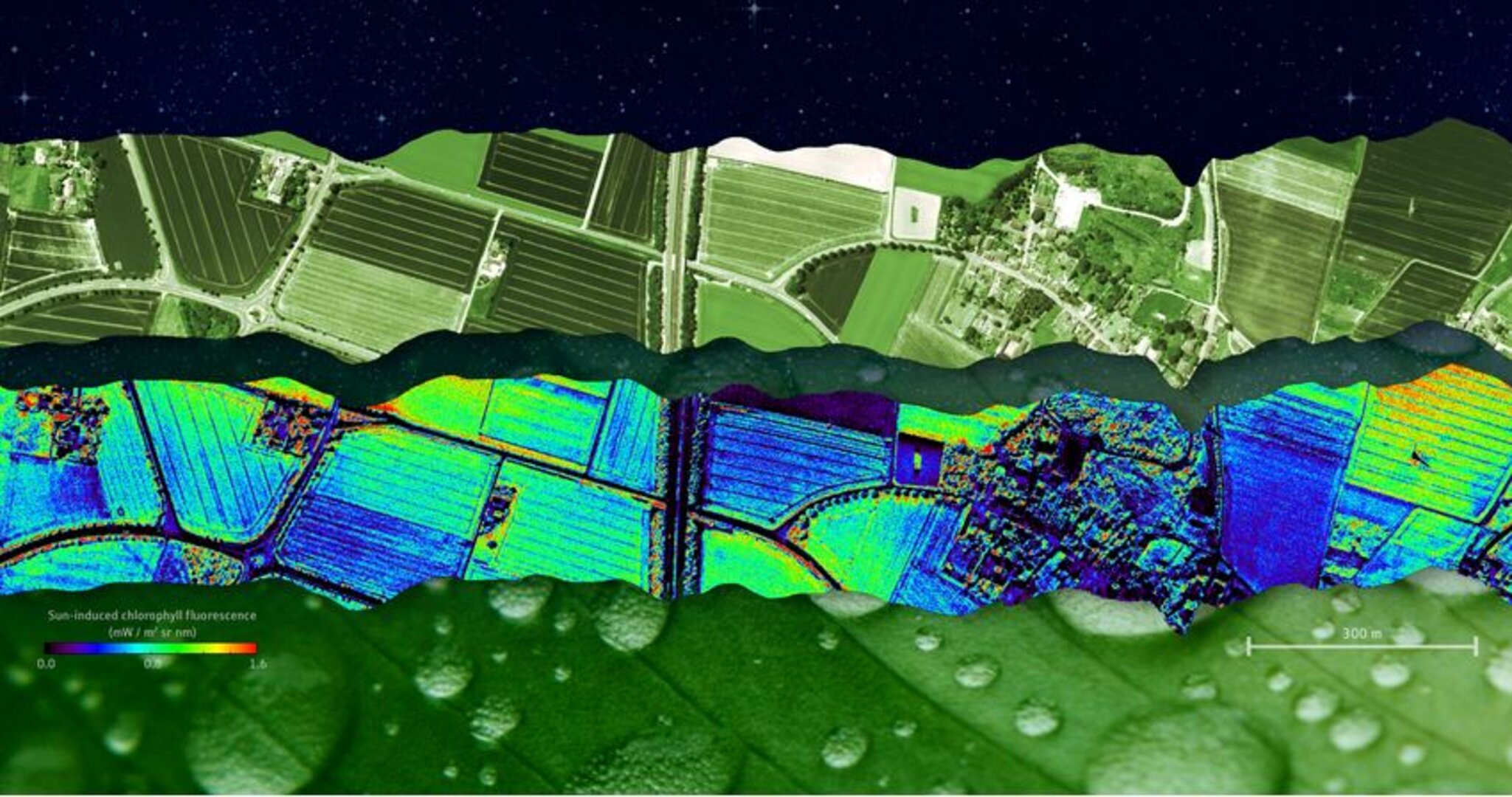 FLEX 2017 workshop icon