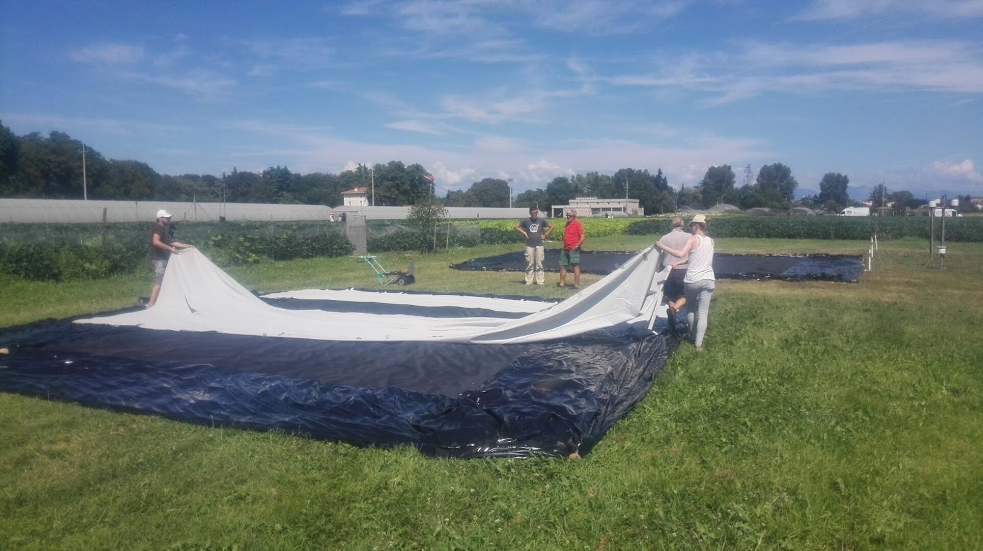 Setting up mutant experiment