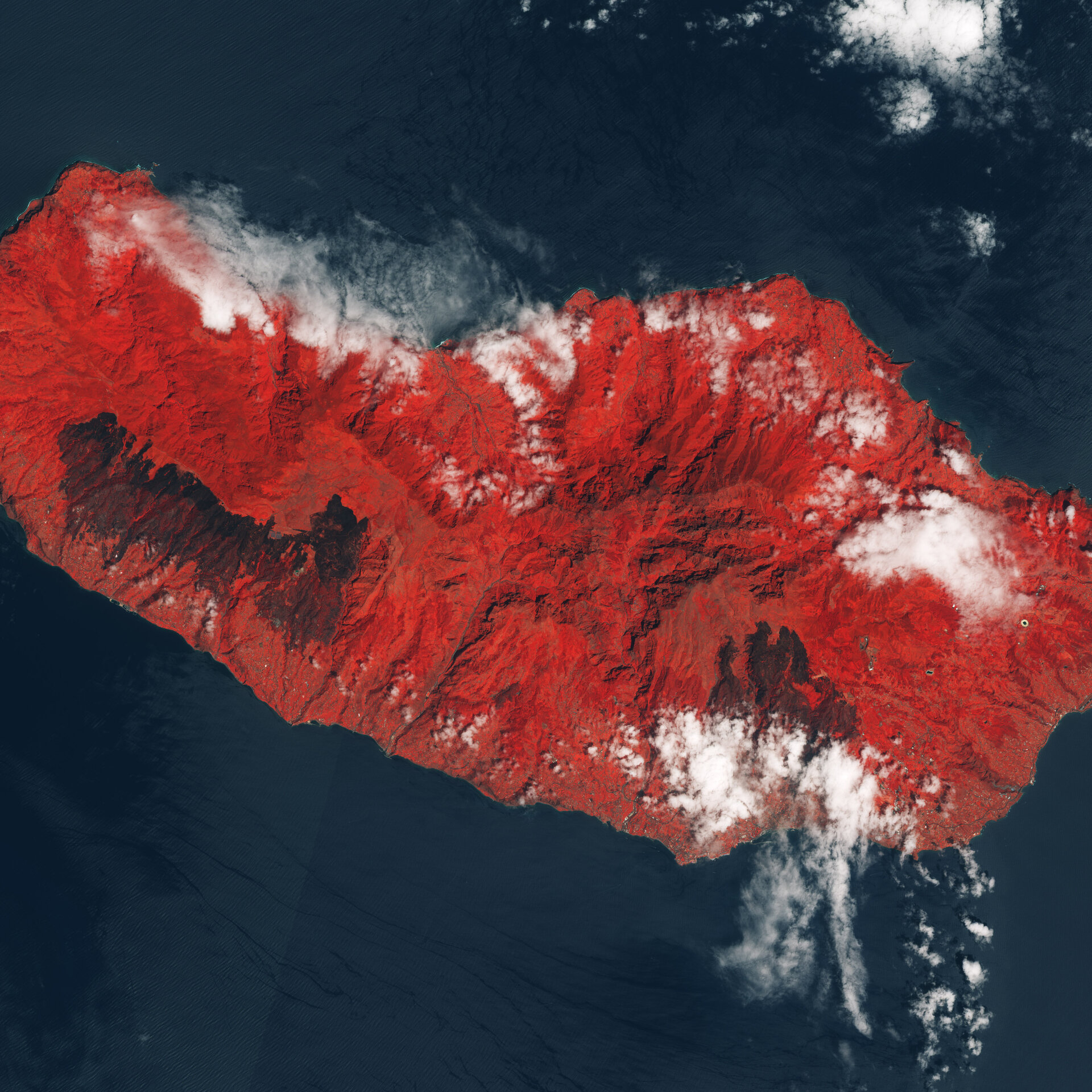 Fire-scarred Madeira